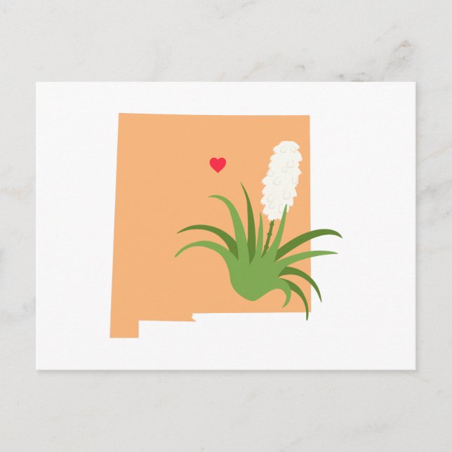 Carte Postale État du Nouveau-Mexique (Devant)