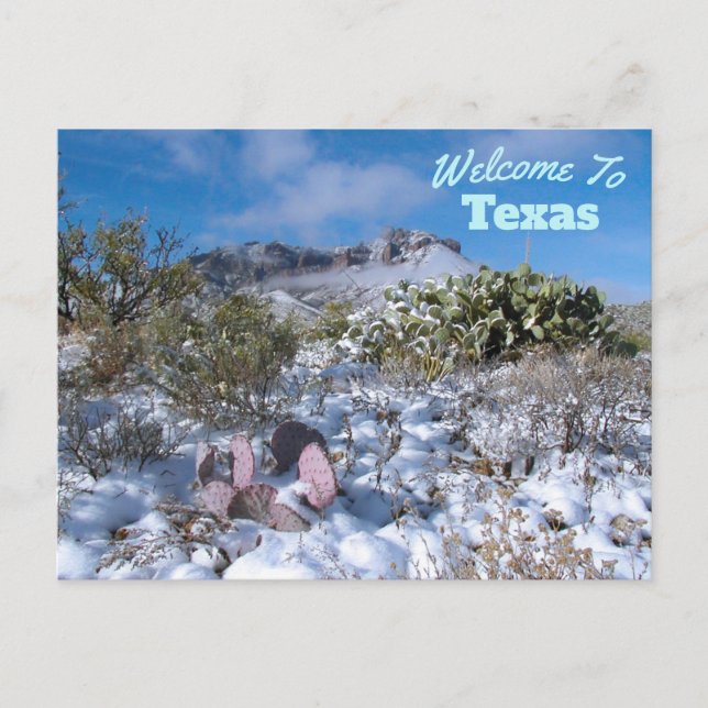 Carte Postale État du Texas (Devant)