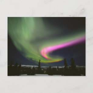 Carte Postale États-Unis, Alaska, Chena Hot Springs. Aurore 2
