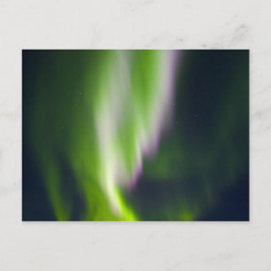 Carte Postale États-Unis, Alaska, Chena Hot Springs. Aurore boré