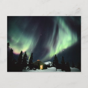 Carte Postale États-Unis, Alaska, Chena Hot Springs. Aurore boré