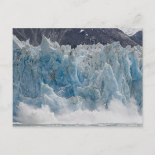 Carte Postale États-Unis, Alaska, Forêt nationale de Tongass, Tr