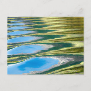 Carte Postale États-Unis, Alaska, Glacier Bay National Park 5