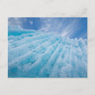 Carte Postale États-Unis, Alaska, Parc national de Glacier Bay 4