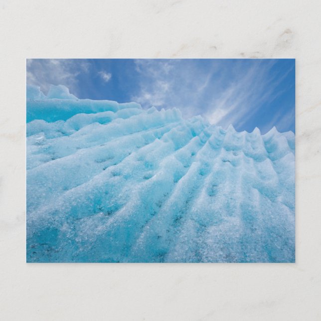 Carte Postale États-Unis, Alaska, Parc national de Glacier Bay 4 (Devant)