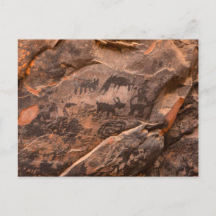 Carte Postale États-Unis, Arizona, forêt nationale de Coconino,