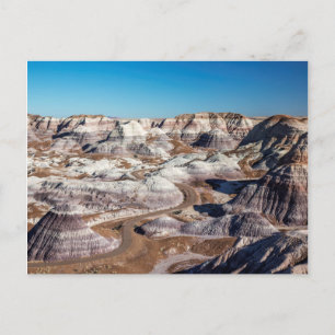 Carte Postale États-Unis, Arizona, Parc National de la Forêt Pet