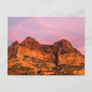 Carte Postale États-Unis, Arizona, Tonto National Forest, Picket