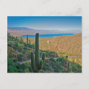 Carte Postale États-Unis, Arizona. Vue depuis l'entrée de Tonto