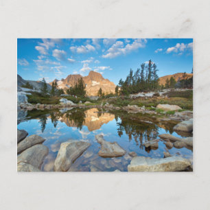 Carte Postale États-Unis, Californie, Forêt nationale d'Inyo. 2