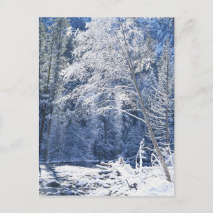 Carte Postale États-Unis, Californie, Parc national de Yosemite,
