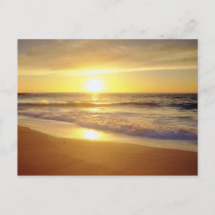 Carte Postale États-Unis, Californie, San Diego. La Jolla Shores