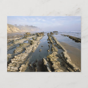 Carte Postale États-Unis, Californie, Santa Barbara, plage de He