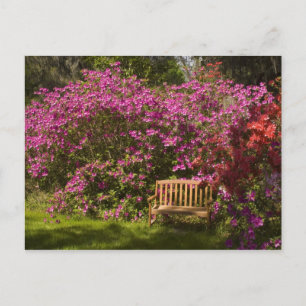 Carte Postale États-Unis ; Caroline du Sud ; Charleston ;