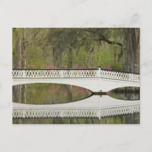 Carte Postale États-Unis; Caroline du Sud; Charleston; 3