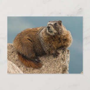 Carte Postale États-Unis, Colorado, San Juan Mountains