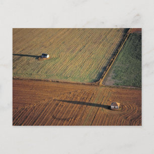 Carte Postale États-Unis, Dakota du Nord, Washburn. Lumière tard