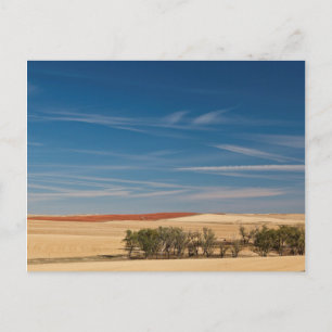 Carte Postale États-Unis, Dakota du Sud, Murdo, Paysage de Prair