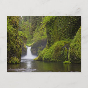 Carte Postale États-Unis, Eagle Creek, Columbia Gorge, Oregon. 3