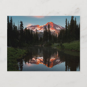 Carte Postale États-Unis, État de Washington. Mt. Rainier réfléc