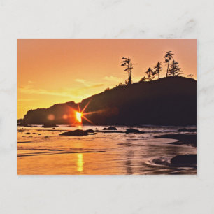 Carte Postale États-Unis, État de Washington, Parc national Olym