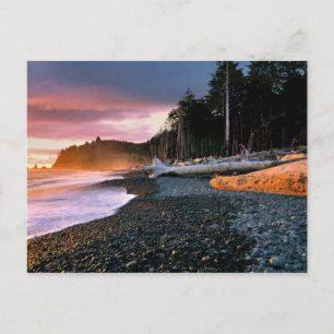 Carte Postale États-Unis, État de Washington, Pôle olympique. Le