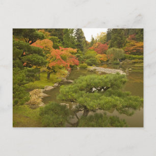 Carte Postale États-Unis, État de Washington, Seattle. Japonais