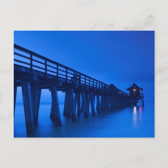 Carte Postale États-Unis, Floride, Côte du Golfe, Naples, Naples (Devant)