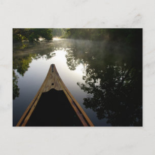 Carte Postale États-Unis, Floride, Forêt nationale d'Ocala, Alex