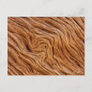 Carte Postale États-Unis, Géorgie, Jekyll Island, Abstract