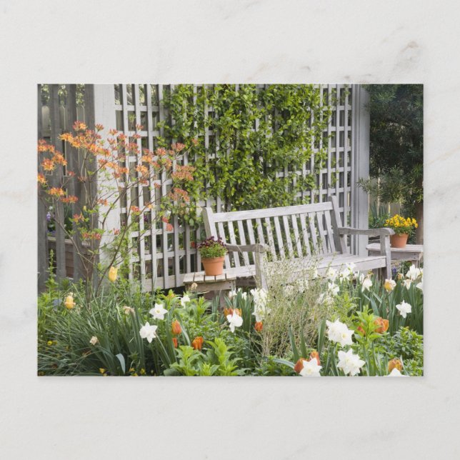 Carte Postale États-Unis, Géorgie, Pine Mountain. Chaise dans (Devant)