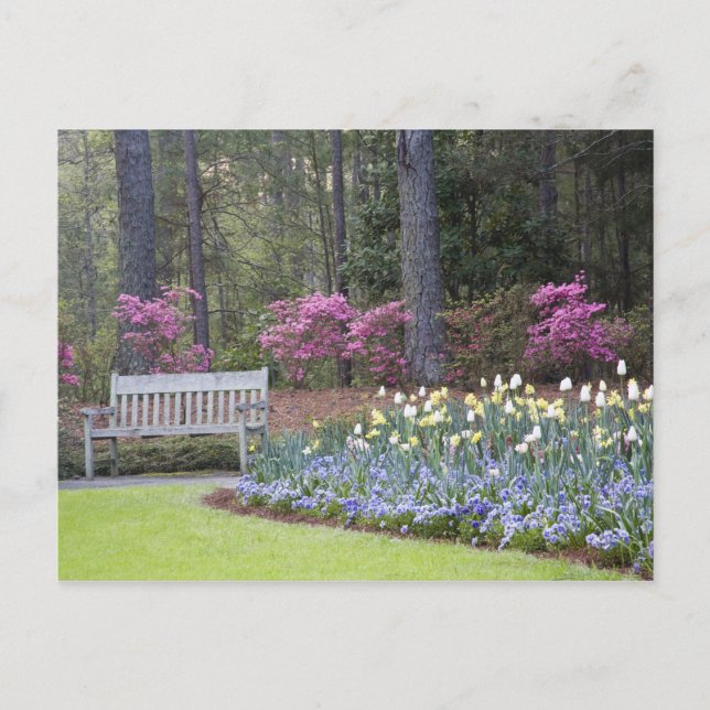 Carte Postale États-Unis, Géorgie, Pine Mountain. Une bordure de (Devant)
