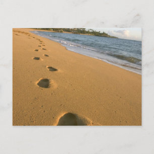 Carte Postale États-Unis, Hawaï, Kauai, Kapa'a, bord de mer.