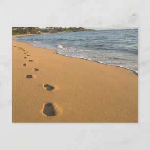 Carte Postale États-Unis, Hawaï, Kauai, Kapa'a, bord de mer. RF)