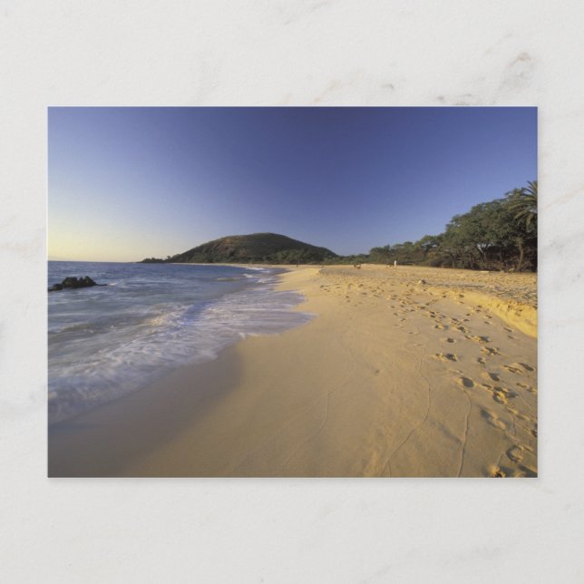 Carte Postale États-Unis, Hawaï, Maui, Empreintes dans le sable, (Devant)