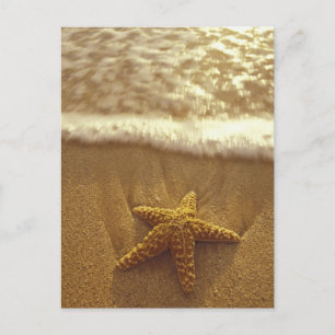 Carte Postale États-Unis, Hawaï, Maui, Maui, Kihei, Étoile de me