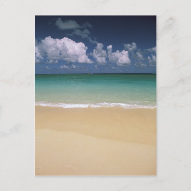 Carte Postale États-Unis, Hawaï. Scène de plage (Devant)