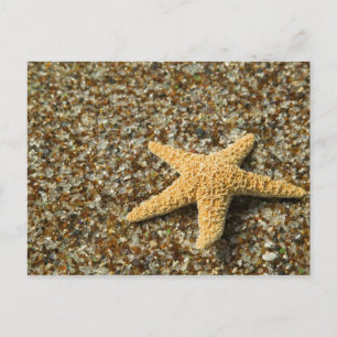 Carte Postale États-Unis, HI, Kauai, Glass Beach avec étoile de