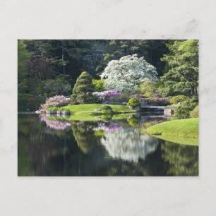 Carte Postale États-Unis, Maine, Northeast Harbor. Vue d'Asticou