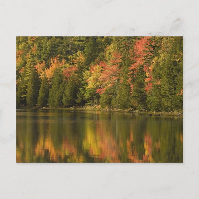 Carte Postale États-Unis; Maine; Parc national d'Acadia. Reflets (Devant)