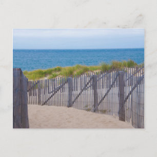 Carte Postale États-Unis, Massachusetts. Dunes et sentier