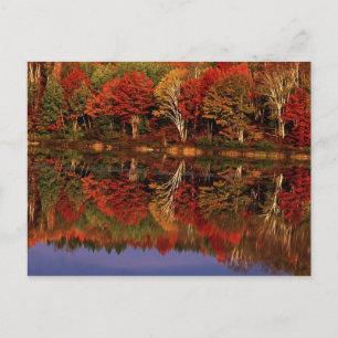 Carte Postale États-Unis, Michigan, Upper Peninsula. Automne