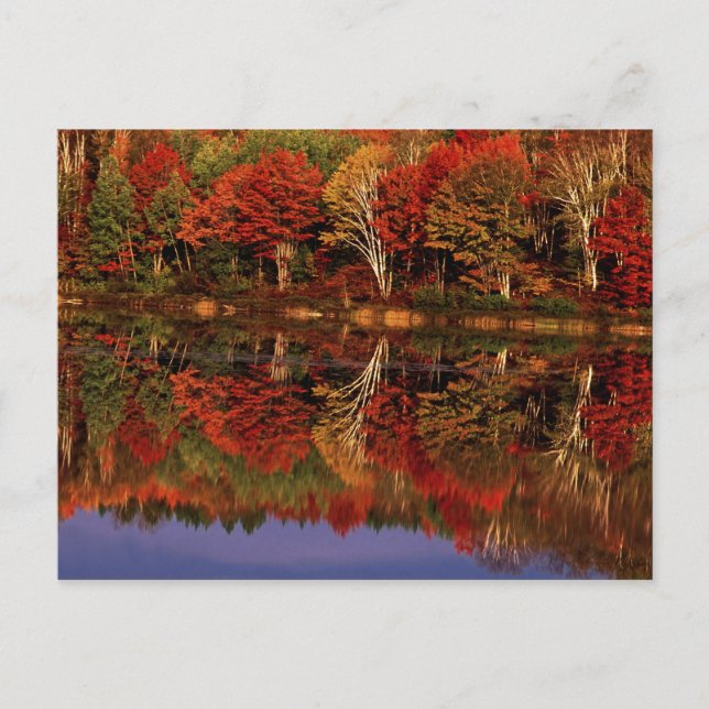 Carte Postale États-Unis, Michigan, Upper Peninsula. Automne (Devant)