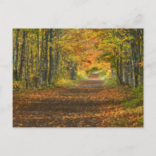 Carte Postale États-Unis, Michigan, Upper Peninsula. Route menan