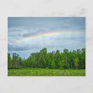 Carte Postale États-Unis, Minnesota. Pré vert avec fleurs sauvag