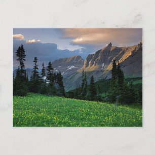 Carte Postale États-Unis, Montana, Parc national des Glaciers, L