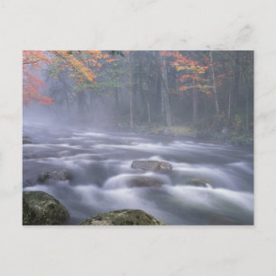 Carte Postale États-Unis, New York, Adirondacks, Big Moose River