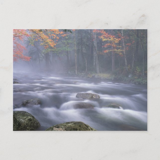 Carte Postale États-Unis, New York, Adirondacks, Big Moose River (Devant)