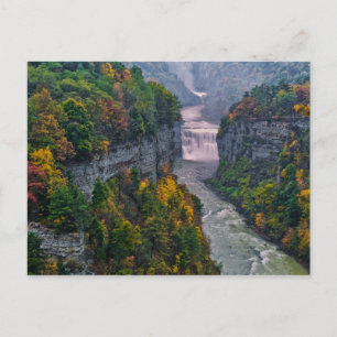 Carte Postale États-Unis, New York, Letchworth State Park. Riviè