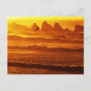 Carte Postale États-Unis, Oregon, Bandon. Coucher de soleil sur
